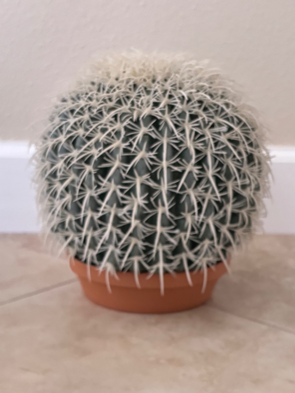 Faux Cactus - Picture 3 of 3